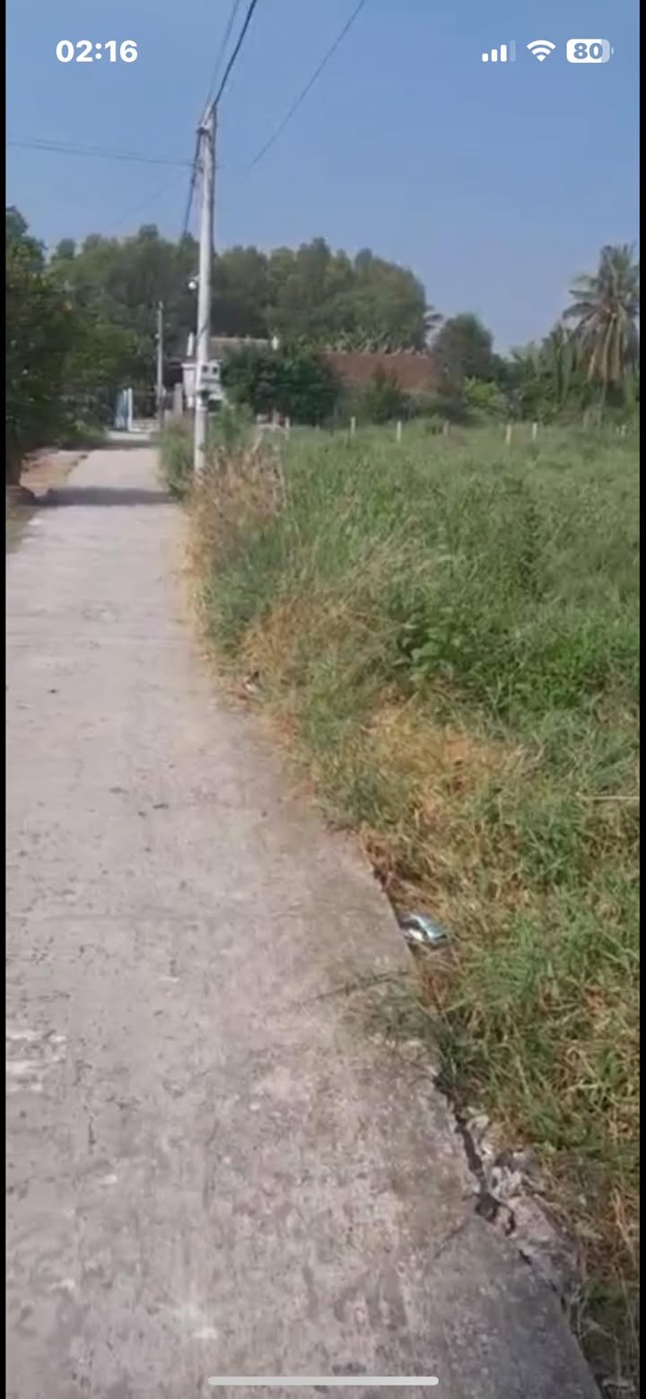 Đất Sơn Quy Gò Công 206m² 280tr - Sổ đỏ chính chủ