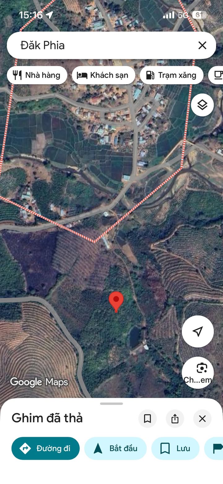 Rẫy cà phê Đak Phía 1,7ha 500 triệu - Sổ đỏ chính chủ