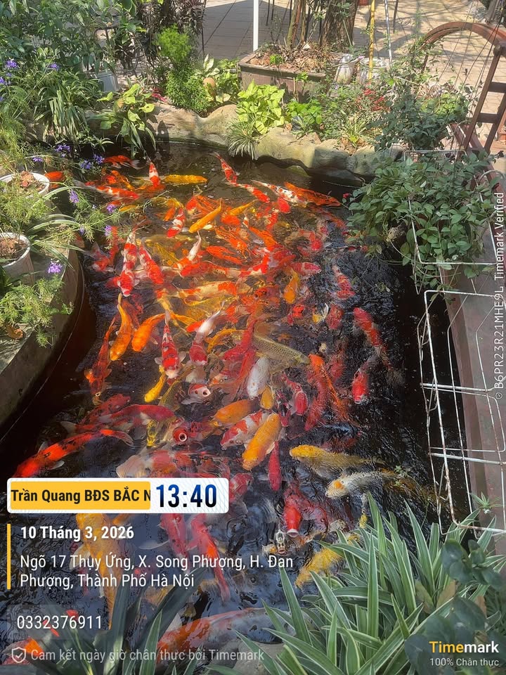 Nhà trọ KCN Samsung Yên Phong 125m2 2 tỷ - Sẵn sàng ở ngay