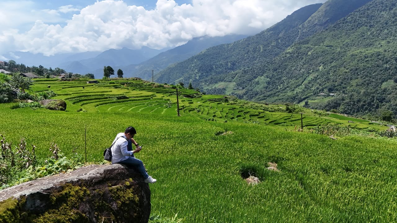 Đất nền Tả Van Sa Pa 1.297m² nhỉnh 5 tỷ - Sổ đỏ chính chủ