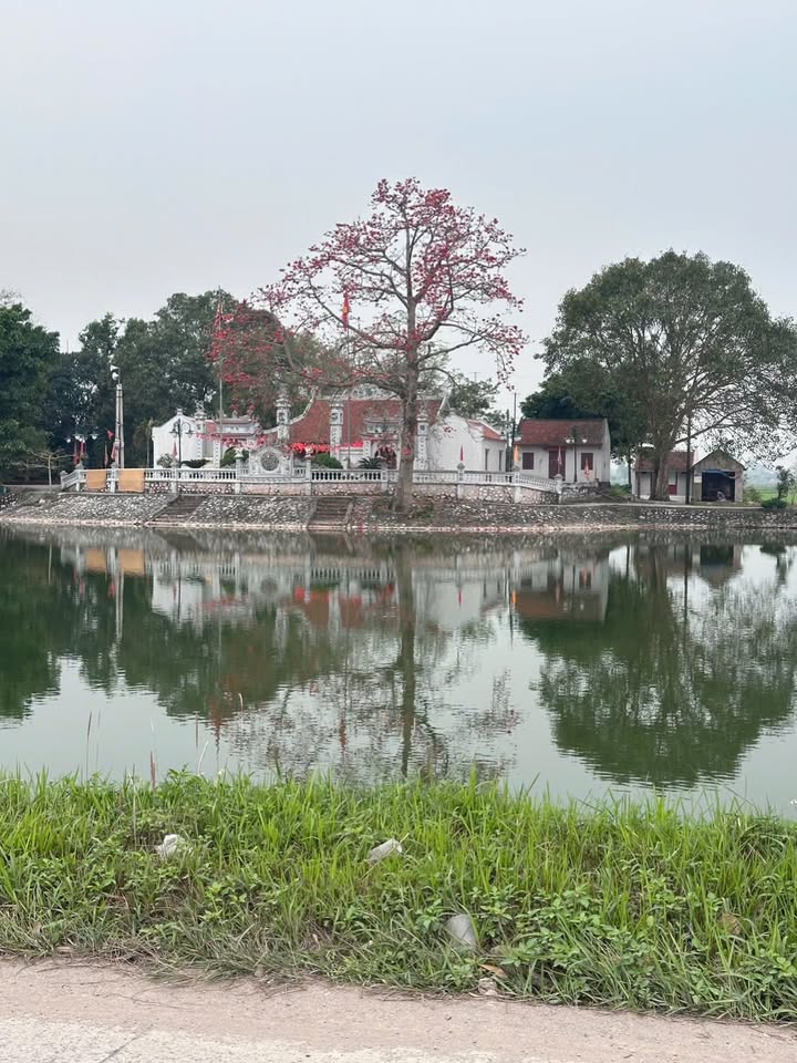 Đất trục chính Thị trấn Phú Xuyên 82m² hơn 3 tỷ - Ưu tiên kinh doanh buôn bán