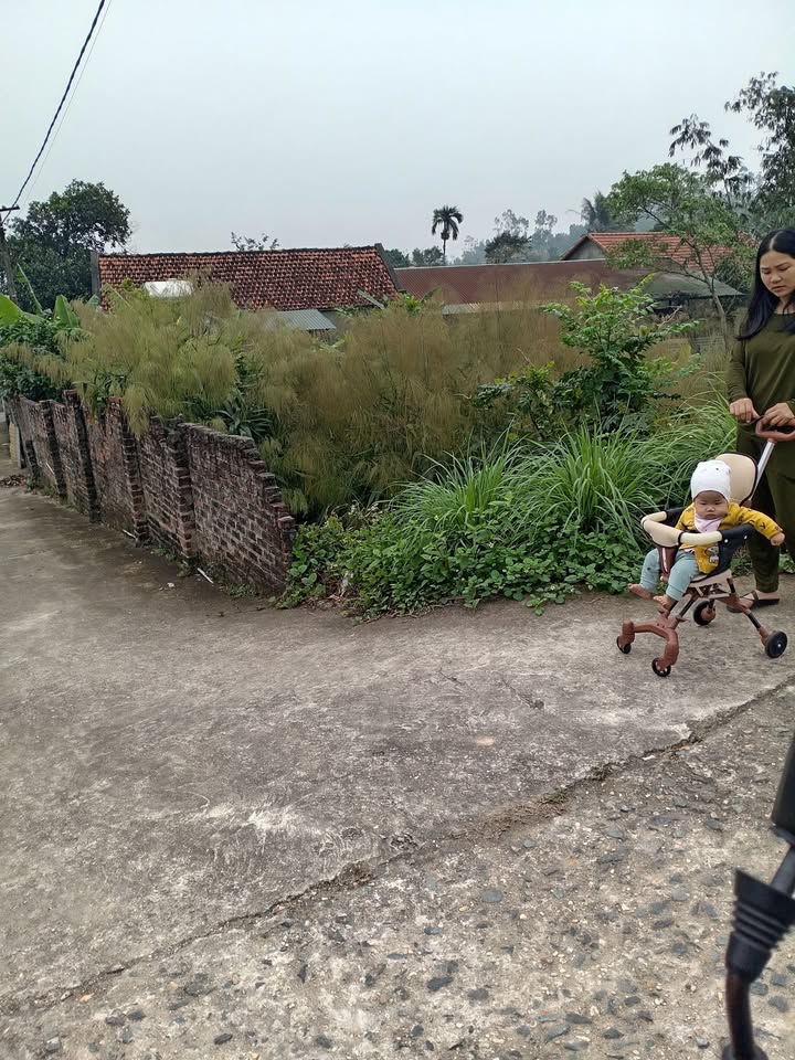 Đất nền Minh Quang Tam Đảo 130m² 500 triệu - Vị trí đắc địa