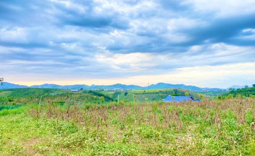 Đất nền Lộc Châu Bảo Lộc 464m² 2.55 tỷ - Sổ đỏ chính chủ