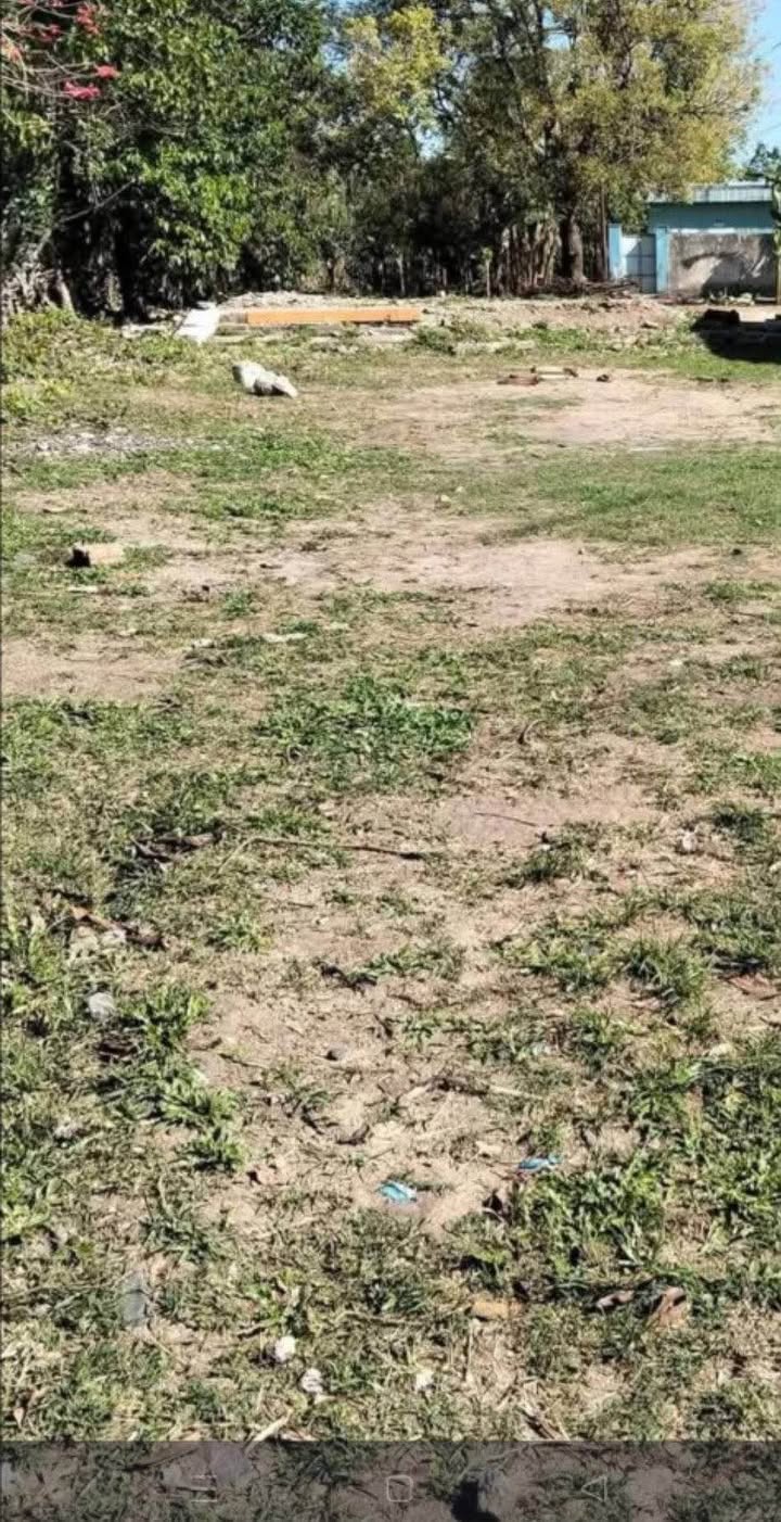 Đất nền QL14B Sa Bình 250m² - Sổ đỏ chính chủ