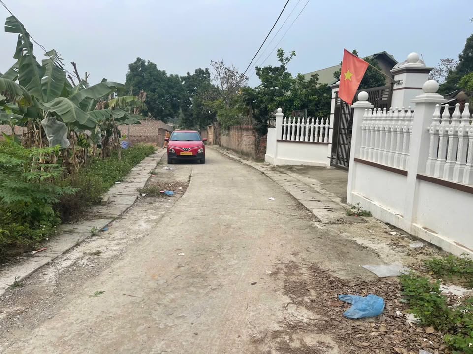 Đất Tam Dương 120m² giá 700-799 triệu - Sổ đỏ chính chủ