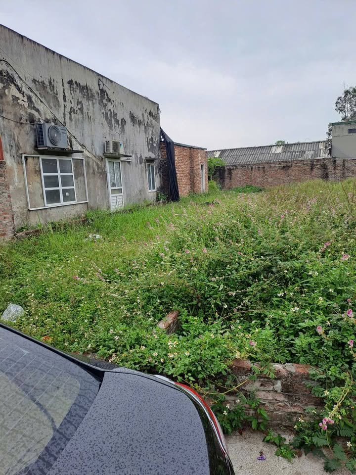 Đất nền Sóc Sơn 134m2 1x tỷ - Sổ đỏ chính chủ