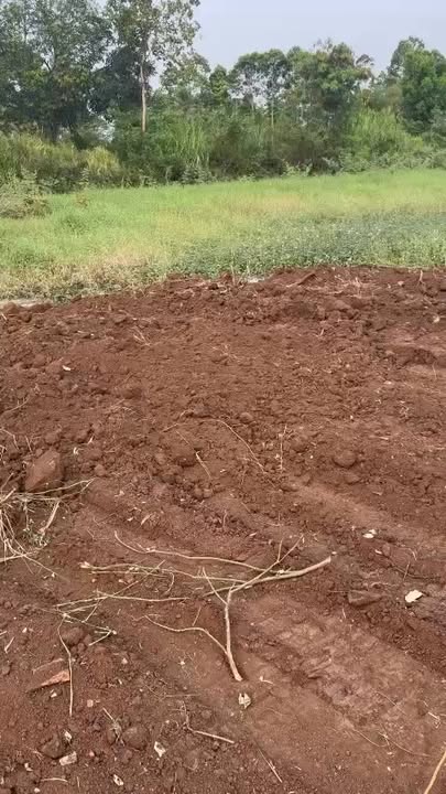 Đất nền Xuân Đông Cẩm Mỹ 8.324m² 6.7 tỷ - Sổ đỏ chính chủ