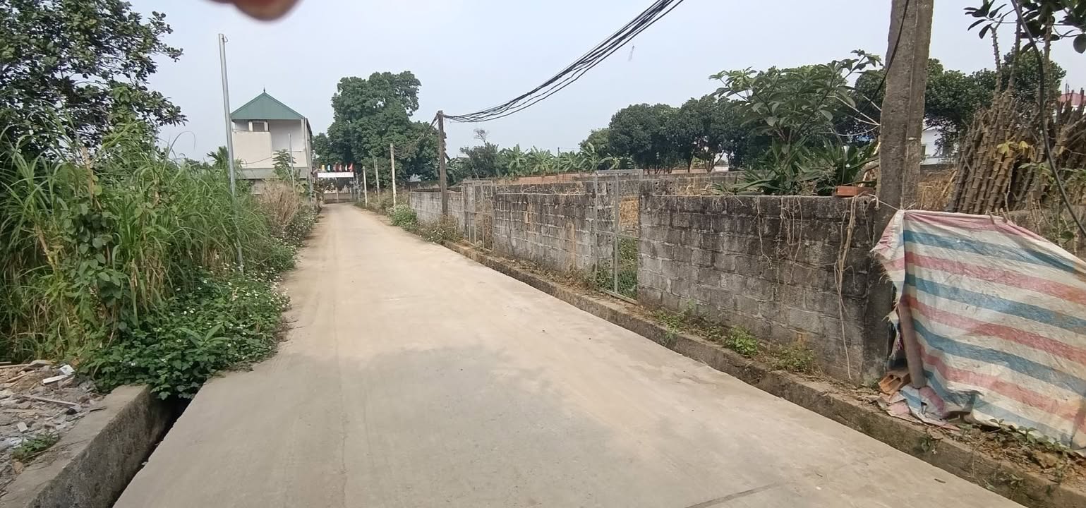 Đất nền Phú Cát Quốc Oai 142m² giá 2 tỷ - Sổ đỏ chính chủ