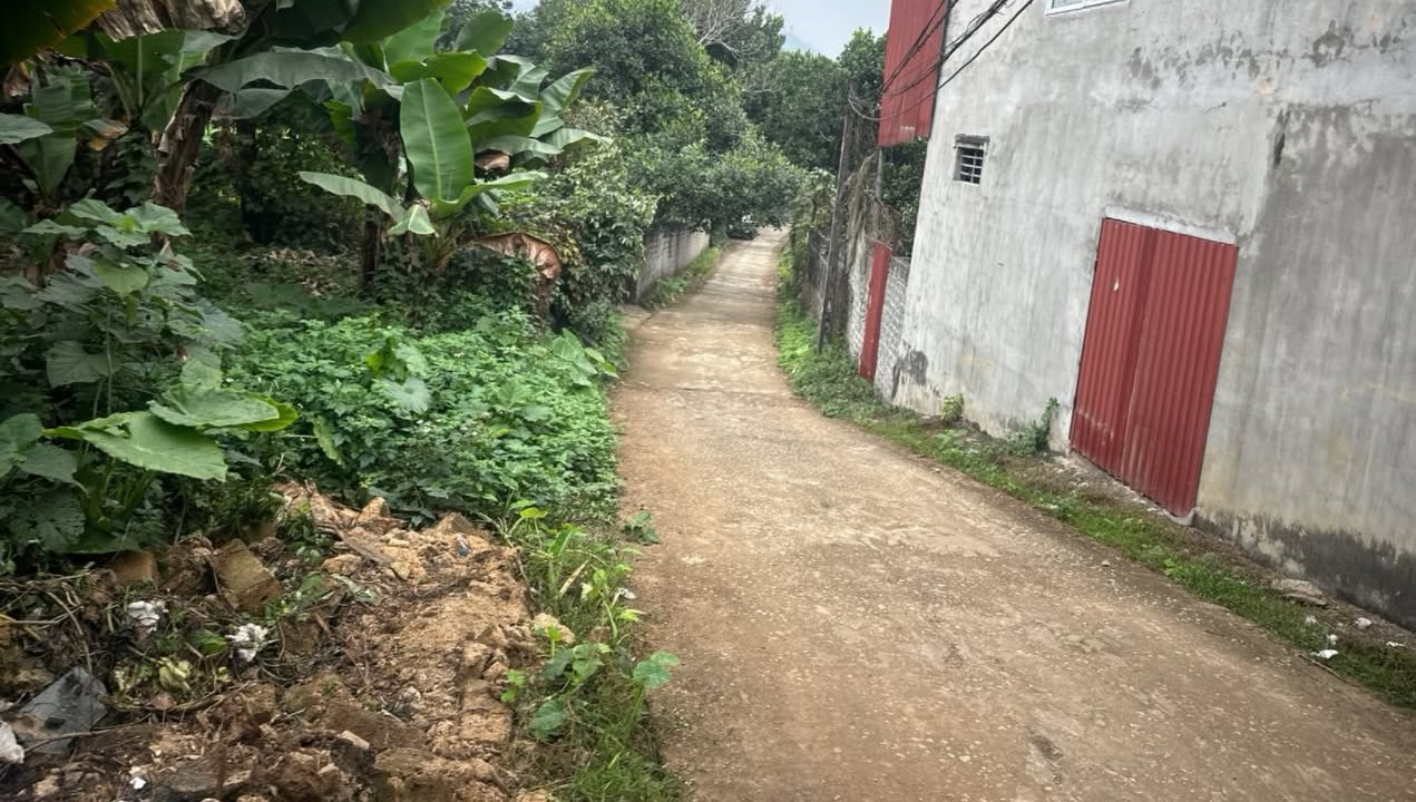 Đất nền Kỳ Sơn Hòa Bình 466m² 1.9 tỷ - Sổ đỏ chính chủ