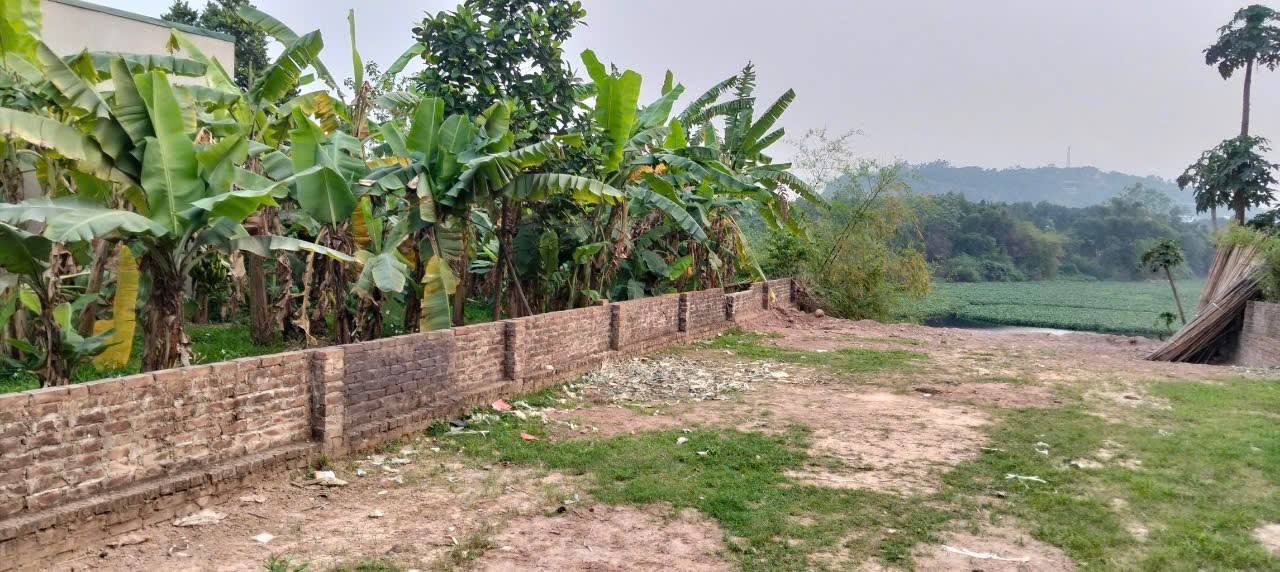 Đất nền Vân Côn Hoài Đức 98m² 5.35 tỷ – Sổ đỏ chính chủ