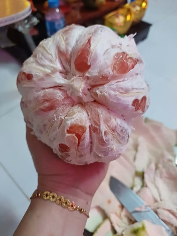 Đất vườn Trung Lập Thượng 5000m² giá 1 tỷ - Nghỉ dưỡng lý tưởng