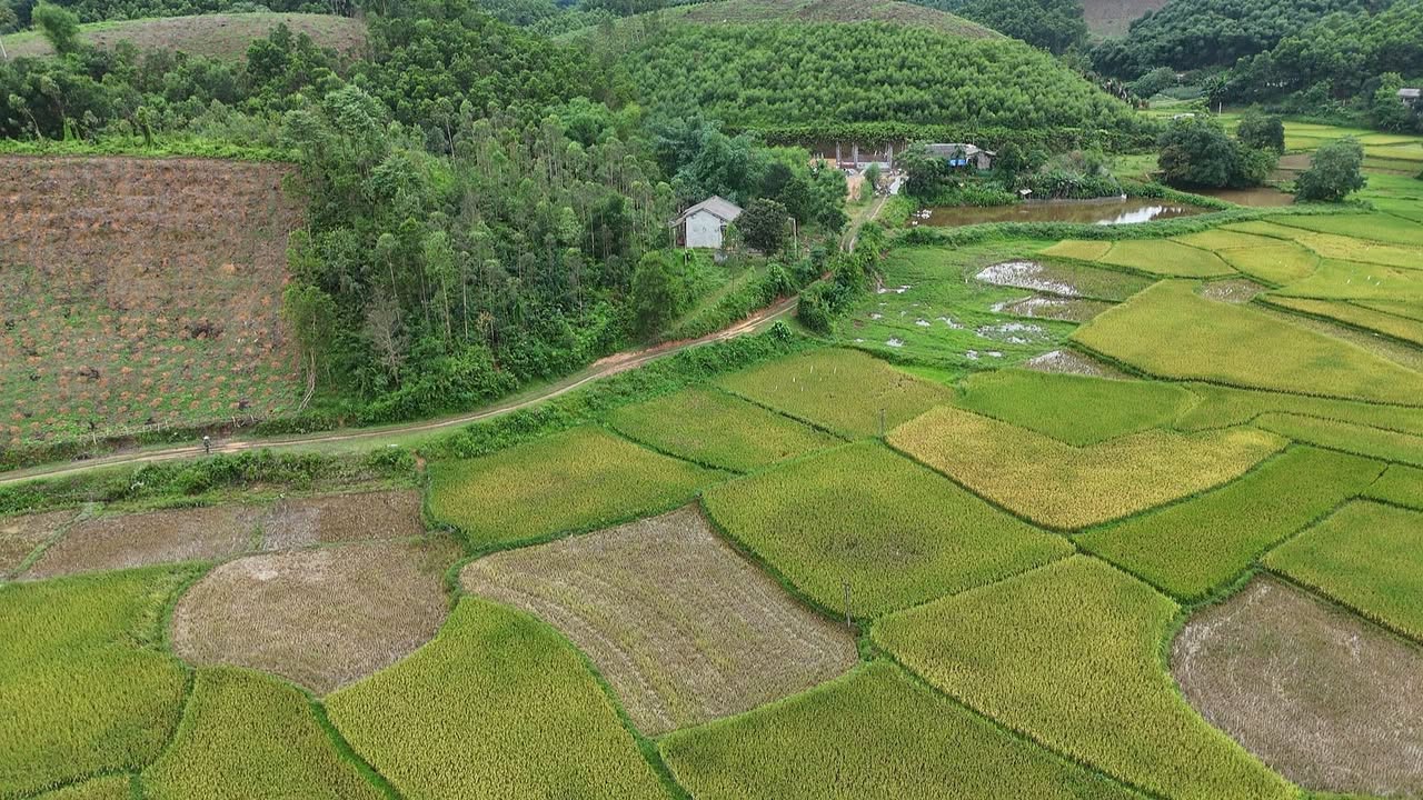 Đất cây lâu năm Minh Hòa 2000m² 550 triệu - Đầu tư dài hạn