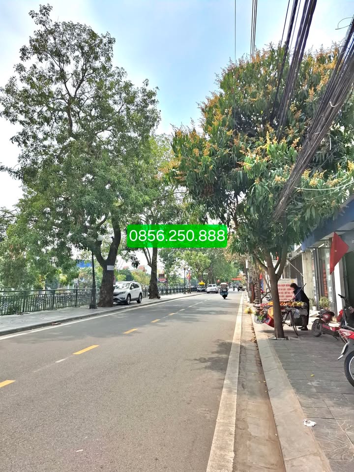 Đất nền Hồ Trần Thái Tông 300m² 16 tỷ - Sổ đỏ chính chủ