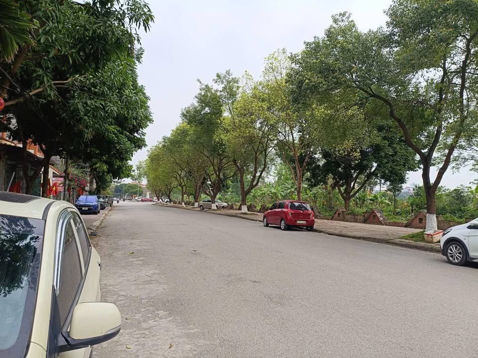 Nhà phố Hồ Xuân Hương 100m² 11 tỷ - Mặt tiền kinh doanh