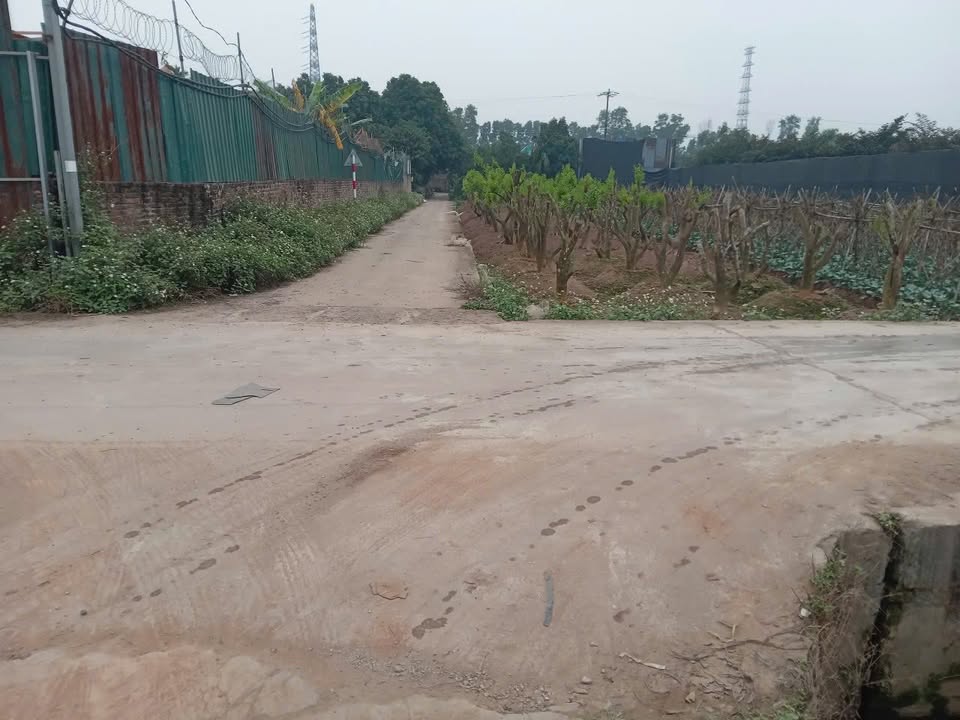 Đất Song Phương Hoài Đức 420m² vài triệu/m² - Đường ô tô