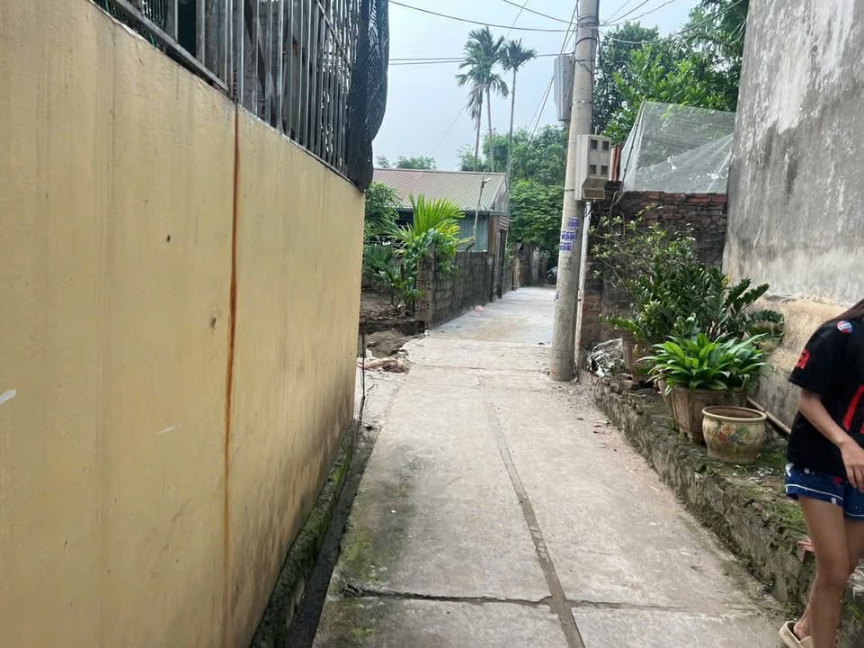 Đất nền Khai Thái Phú Xuyên 80m² - Hạ tầng hoàn thiện