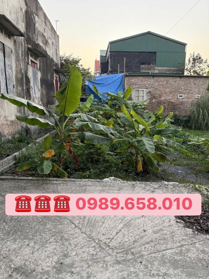 Đất thổ cư Khai Thái Phú Xuyên 80m² 1.4 tỷ - Sổ đỏ chính chủ