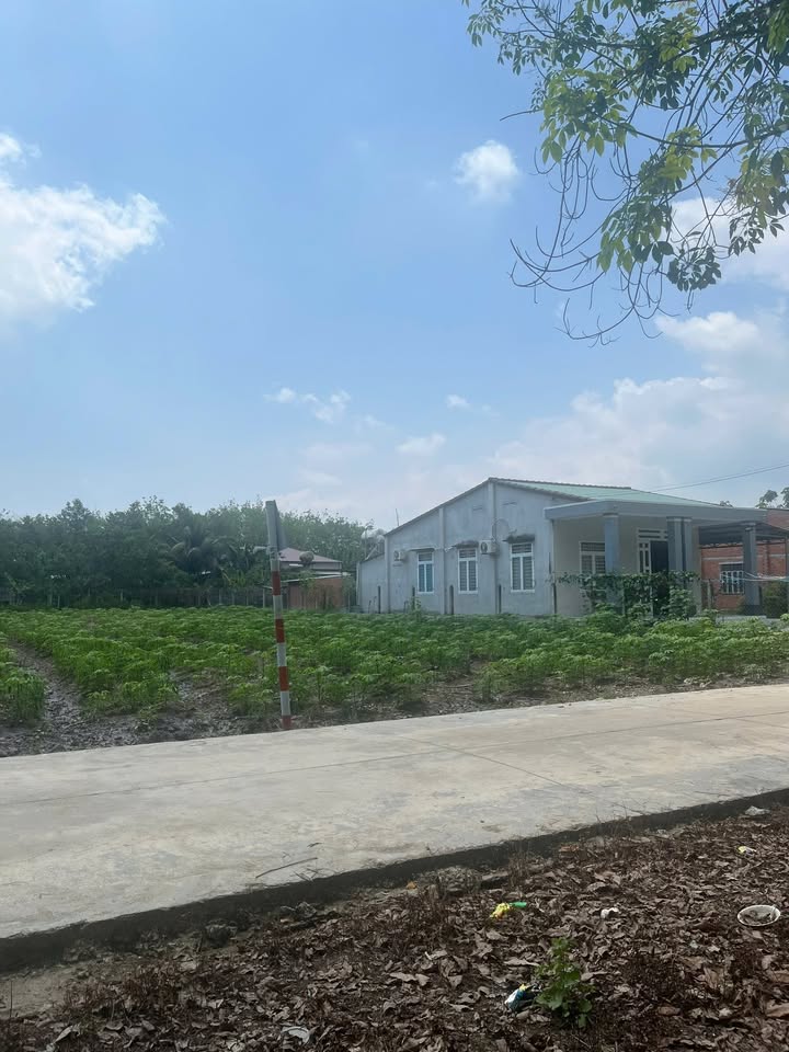 Đất Nền Tân Châu 510m² - Tiềm năng tăng giá vượt trội!