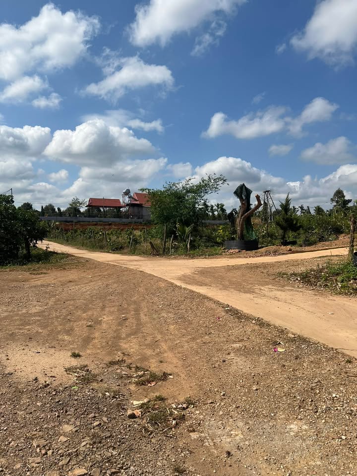 Nhà vườn Thôn 10 Tâm Thắng 1.001m² - Sẵn sàng ở ngay