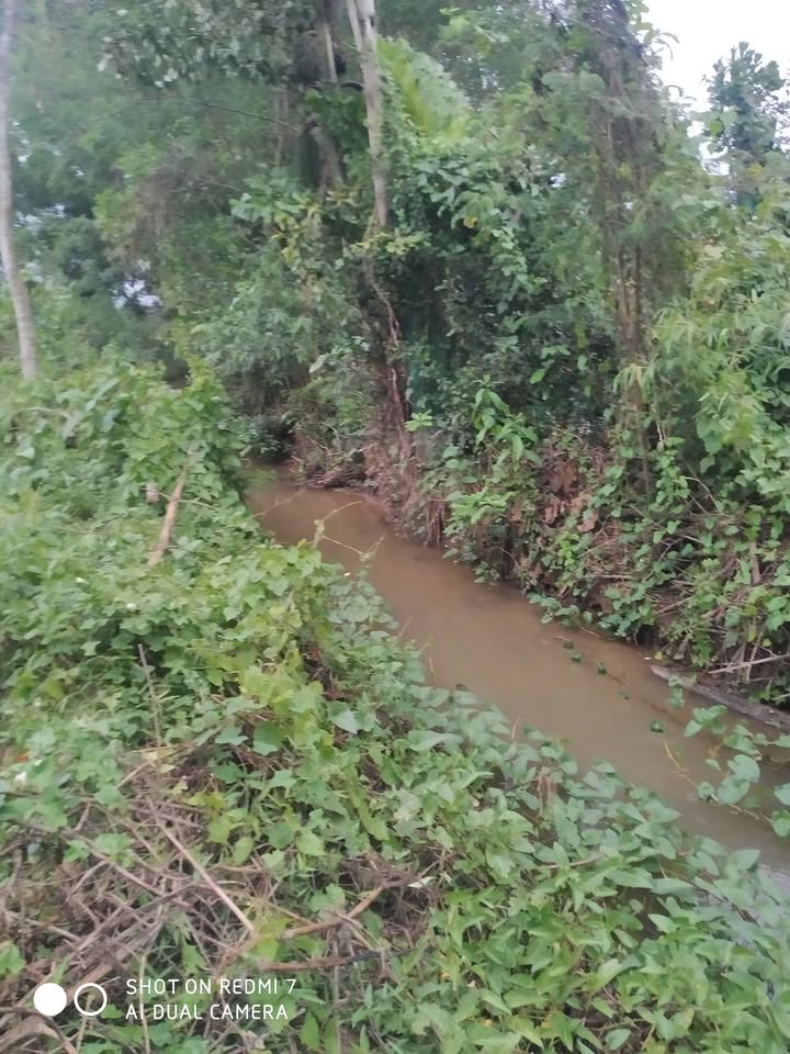 Đất nền Yên Hòa Cầu Giấy 1000m² - Sổ đỏ chính chủ