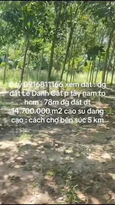 Farm Bến Cát 14.7 triệu m² 8 tỷ - Đầu tư dài hạn