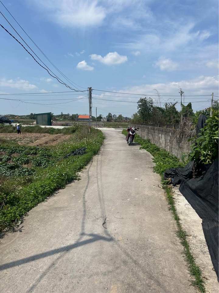 Đất nền Thôn 11 Hải Tiến Móng Cái 147m² giá 700-799 triệu - Sổ đỏ chính chủ