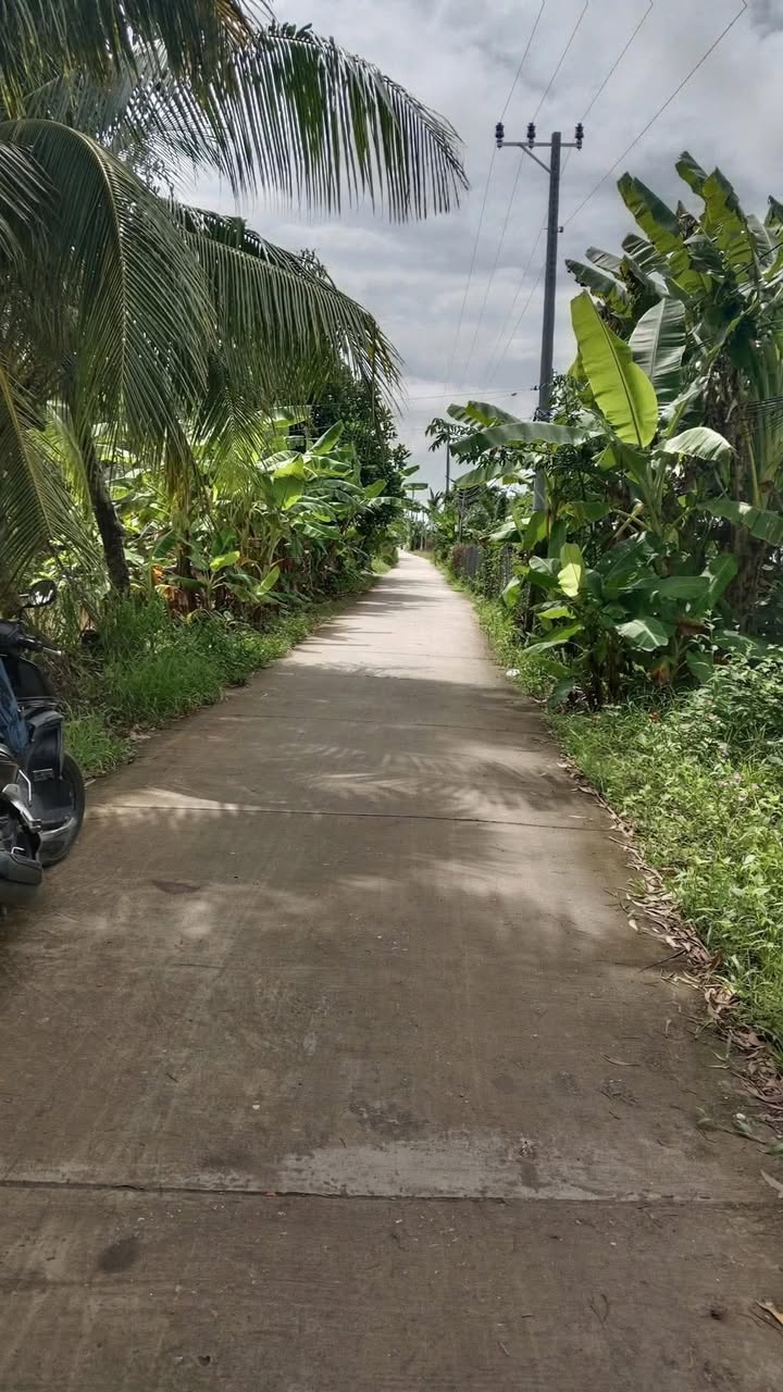 Đất vườn Tân Thạnh Long Phú 2.600m² 780 triệu - Sổ hồng chính chủ