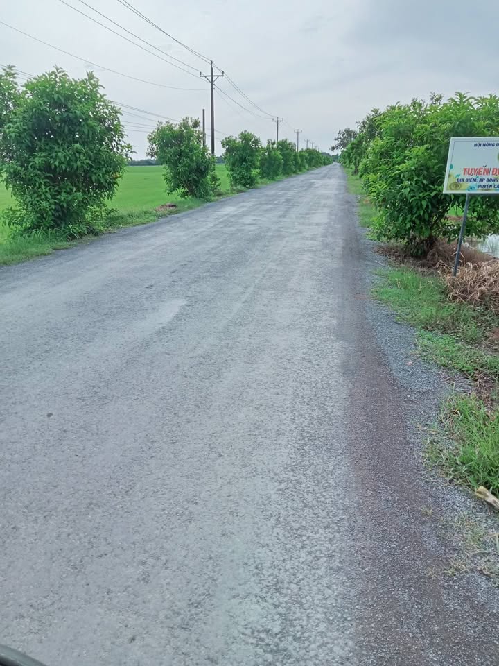 Đất nền Nhị Trường Trà Vinh 1.2 tỷ - Sổ đỏ chính chủ