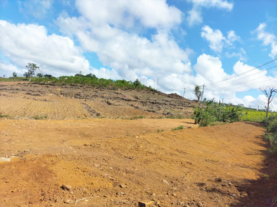 Đất nền DT650 Sơn Hòa 3000m² giá 2xx/m - Sổ đỏ chính chủ