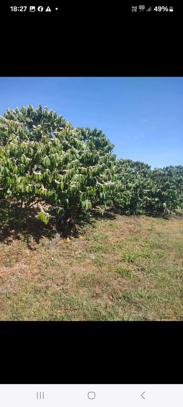 Đất nền Lộc Nga Bảo Lộc 1800m² 3,75 tỷ - Sổ đỏ chính chủ