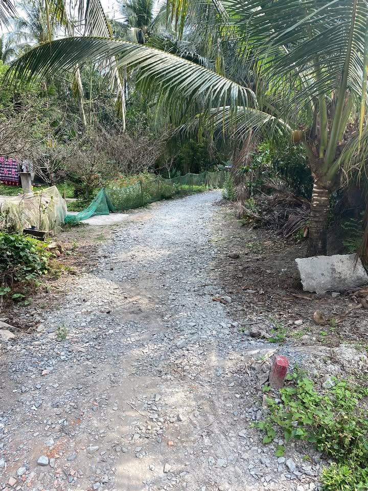 Đất nền Trà Vinh 300m² giá 350 triệu - Sổ hồng cầm tay