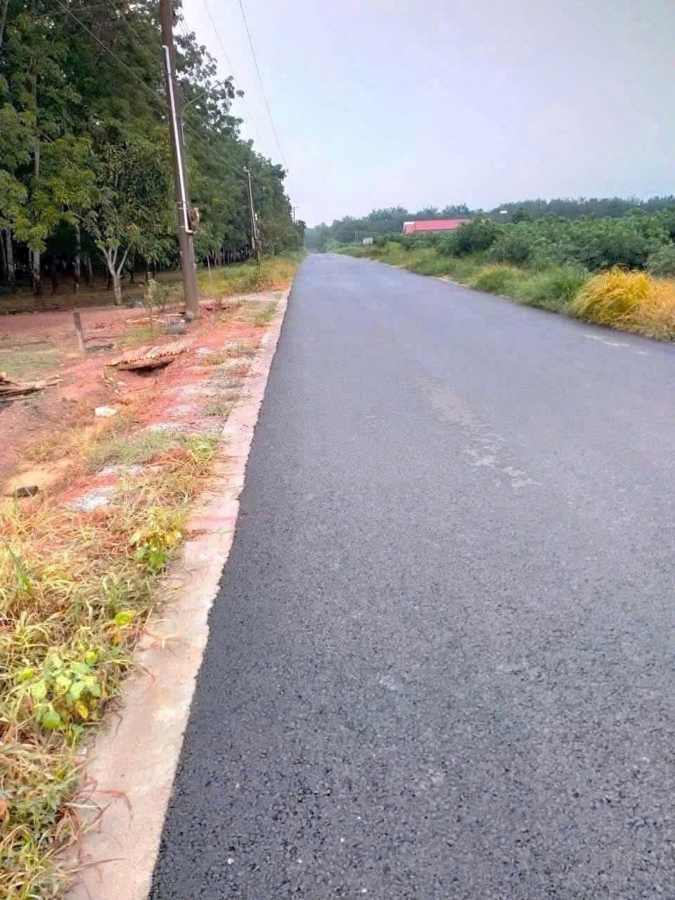 Đất nền Minh Hòa Dầu Tiếng 1000m² giá 1.4 tỷ - Sổ đỏ chính chủ!