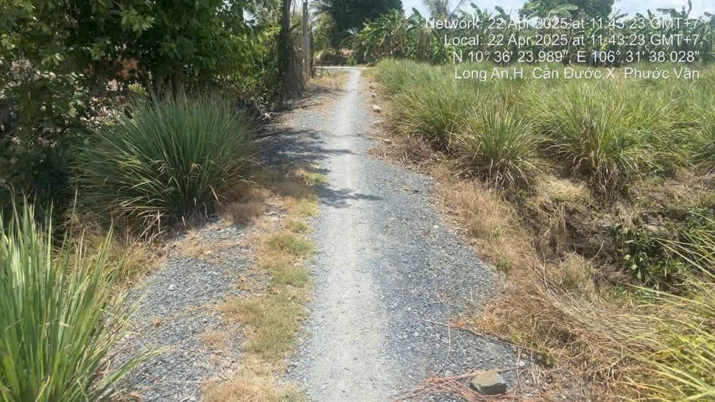 Đất Nền Phước Vân, Cần Đước 1825m² - Đất Thổ Cư 100%, Sổ Đỏ Chính Chủ!