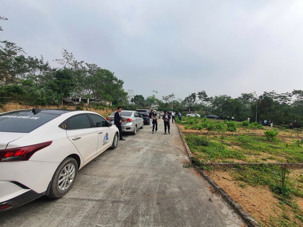 Đất nền Tam Dương Bắc, Vĩnh Phúc 100m² - Sổ đỏ chính chủ!