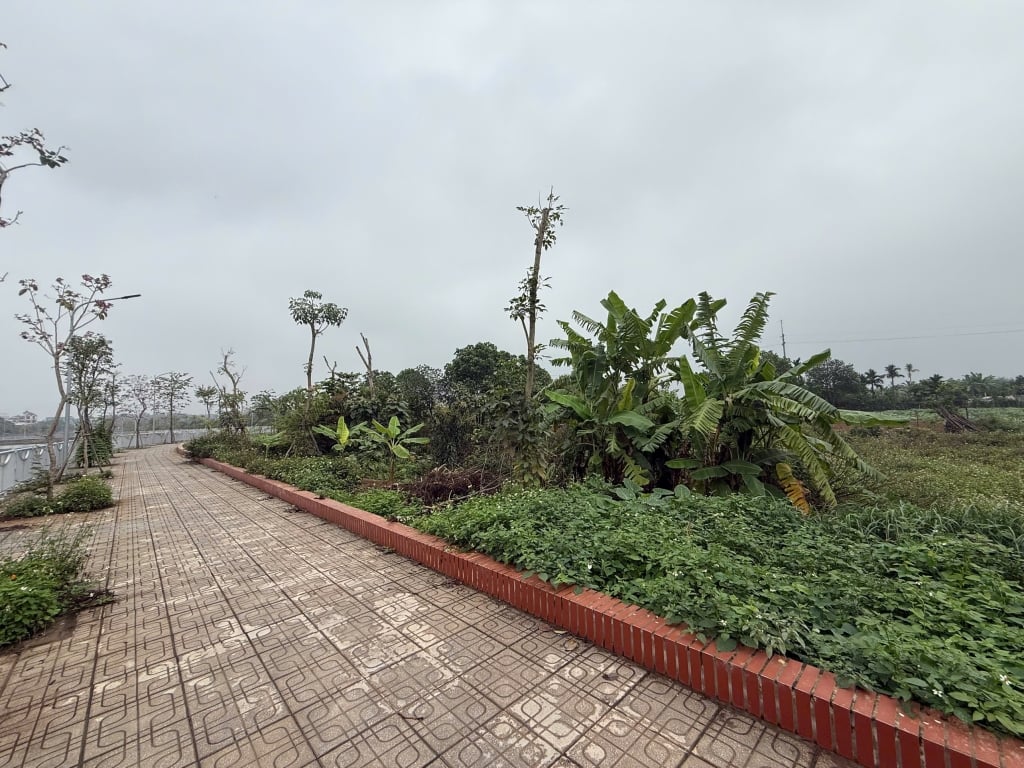 Đất vườn Yên Mỹ Thanh Trì 462m² - Tiềm năng tăng giá vượt trội!