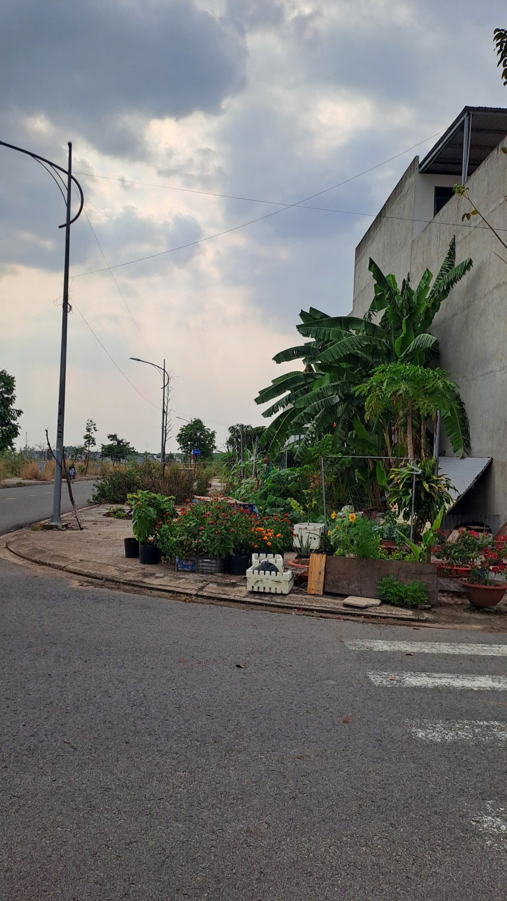 Đất nền Lộc An Long Thành 81m² giá 4.3 tỷ - Tiềm năng tăng giá vượt trội!