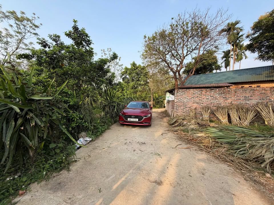 Đất Nền Lập Thạch Vĩnh Phúc 600m² - Giá 1.2 Tỷ F0