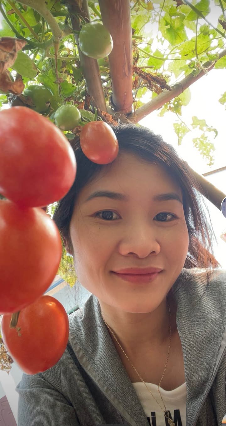 Đất Nền Vĩnh Phúc 300m² - Sổ Đỏ Riêng, Giá Chỉ 1 Tỷ, Liền Kề KCN