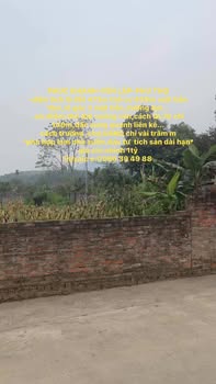 Đất nền Yên Lập, Phú Thọ - 473m² lô góc, giá chỉ 1 tỷ