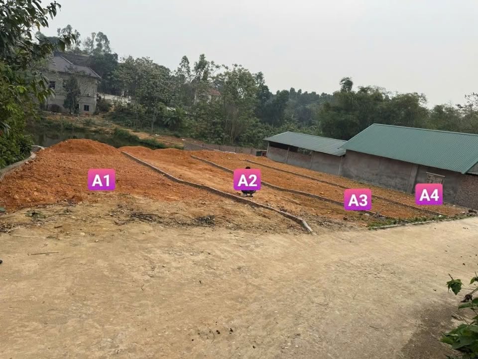 Đất nền Tam Quan Tam Đảo 100m² 4xx triệu - Sổ đỏ chính chủ