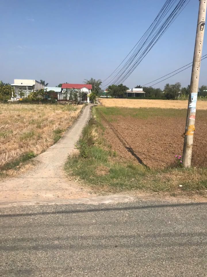 Đất nền Long An 300m² - Sổ đỏ sẵn, Xây 2 nhà liền kề