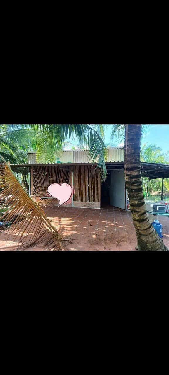 Nhà Vườn 2000m² Có Ao Cá Siêu Vip, Giá 4 Triệu/Tháng Tại Bình Chánh