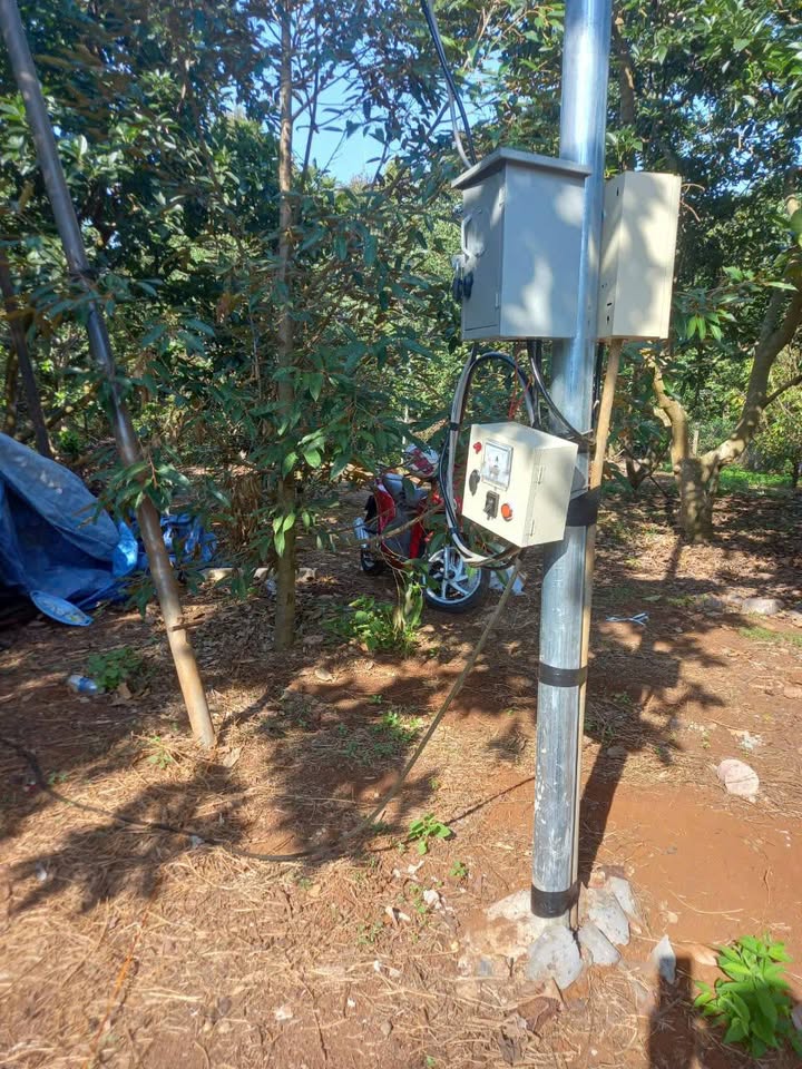 Bán Gấp 1 Sào Đất Vườn Trồng Sầu Riêng Thái Thu Hoạch Tại Long Khánh - Giá 1.6 Tỷ