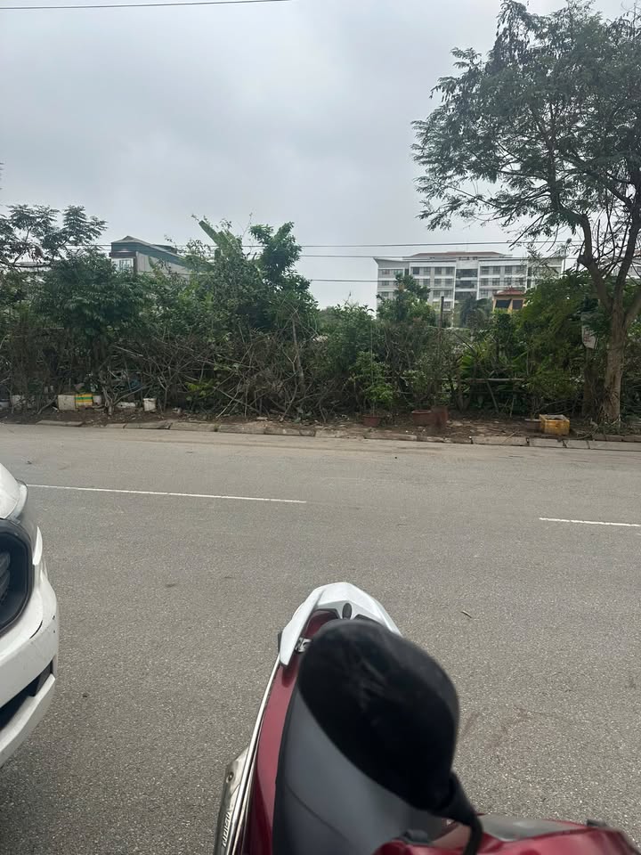 Đất tái định cư Trâu Quỳ 50m² giá 10 tỷ - Sổ đỏ chính chủ