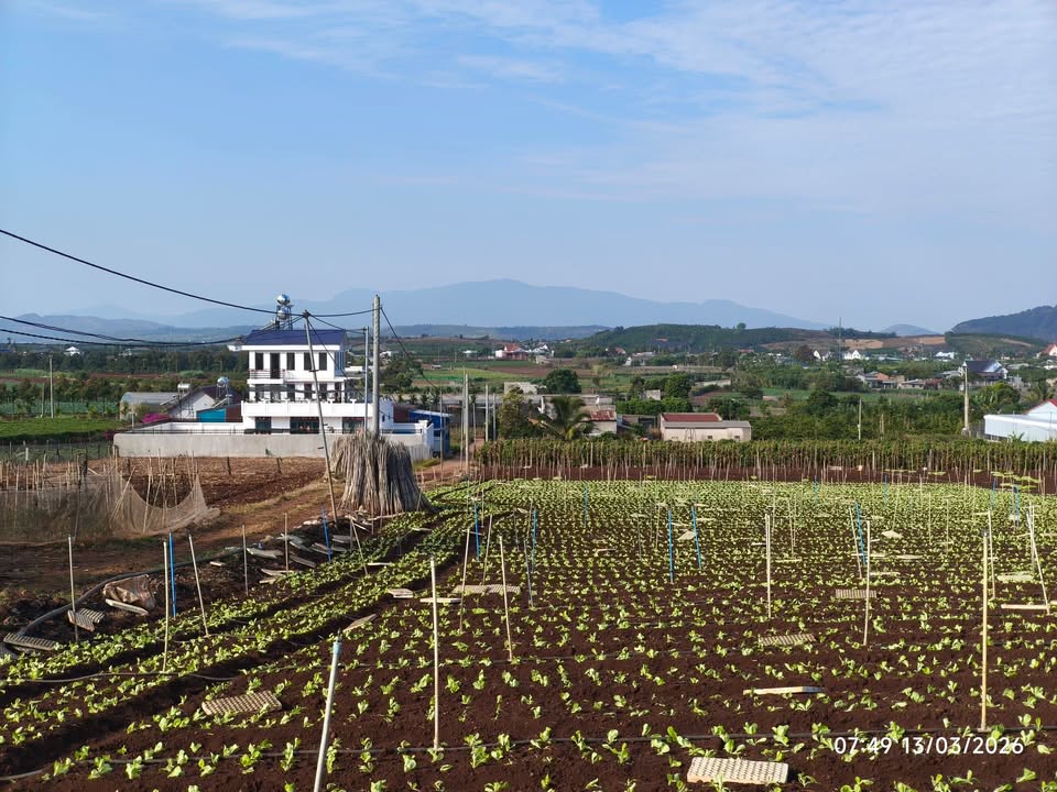 Đất nền Tân Hội Đức Trọng 720m² 2 tỷ - Sổ đỏ chính chủ