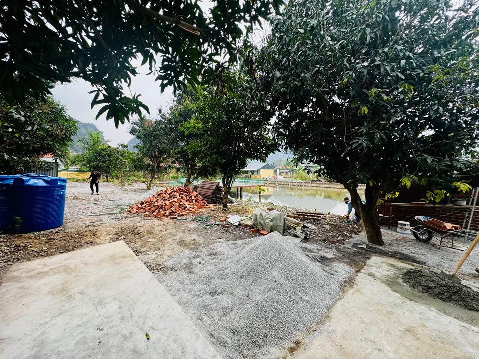 Mặt bằng Hang Múa Ninh Xuân 700m² 20 triệu - Mặt tiền kinh doanh