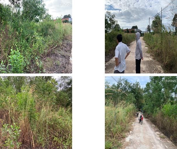 Đất Vườn Chơn Thành 660m² - Sổ Hồng Sẵn Sàng - Đầu Tư Sinh Lời