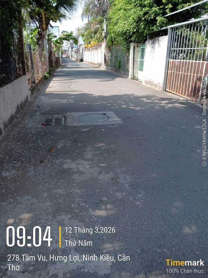 Đất nền Hẻm 278 Tầm Vu 311m² - Đường to ô tô