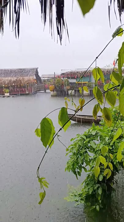 Nhà phố Nghĩa Hòa Tư Nghĩa 232m² - Mặt tiền kinh doanh