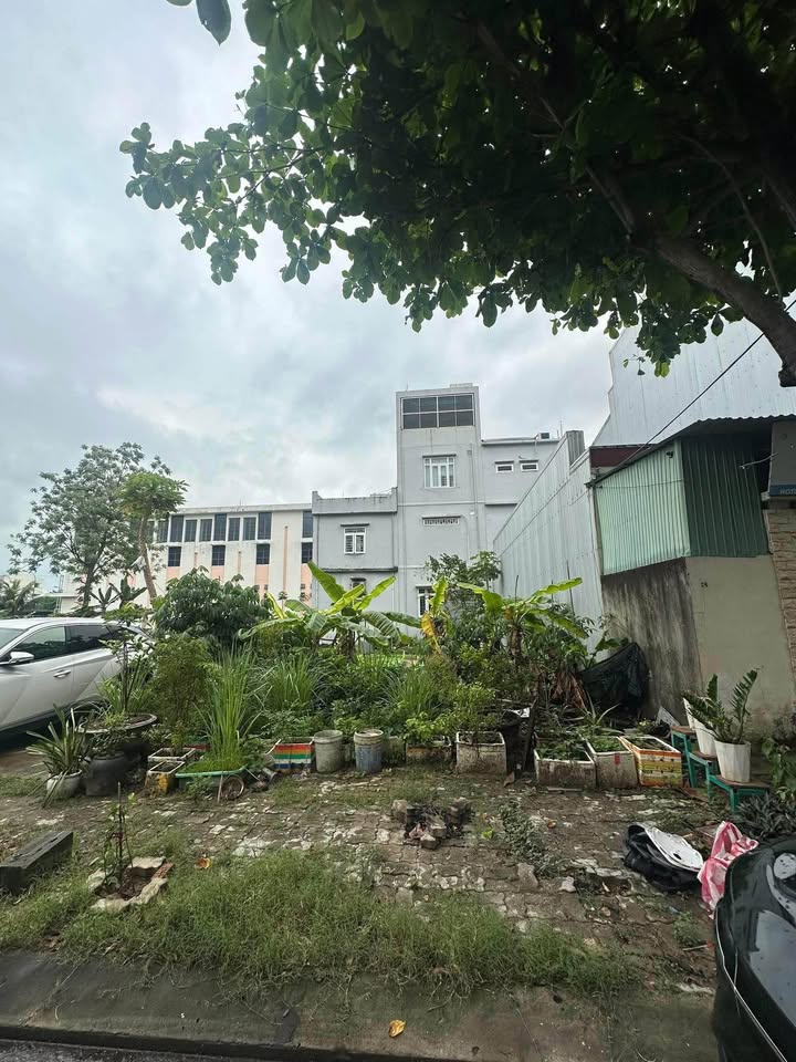 Đất Mặt Tiền Dương Thanh, Sơn Trà - 90m² Sổ Đỏ, Cạnh Sông Hàn, 8.3 Tỷ